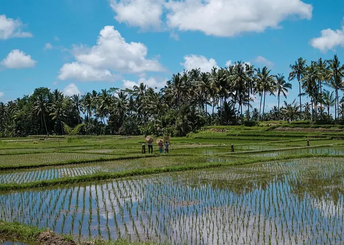 Asri Cinta * Ubud