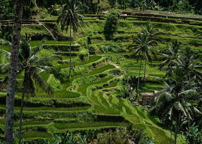 Villa Asri Cinta *
